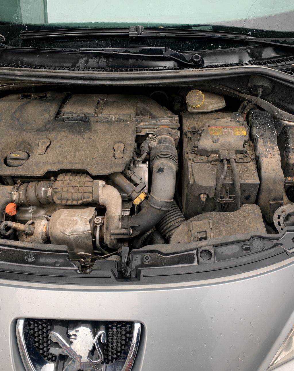 Compartiment moteur encrassé avant nettoyage